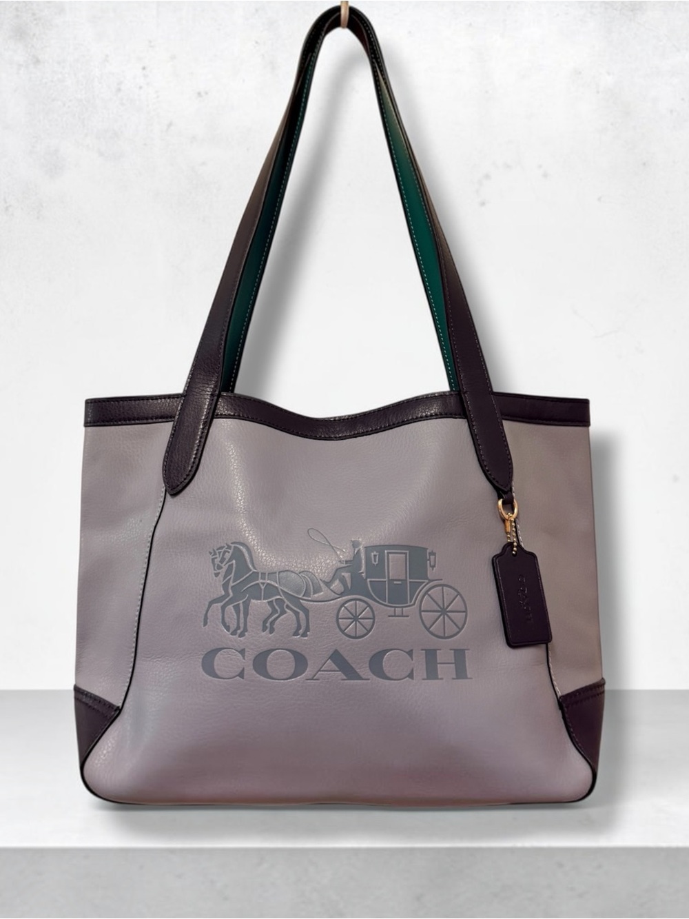 Coach C5676 Horse & Carriage Colorblock Pebble Leather Tote Bag Twilight Multi